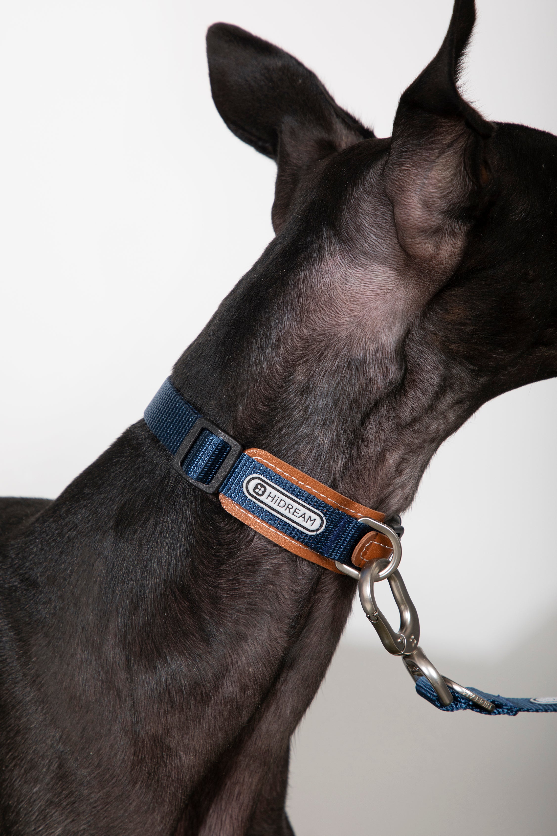 Bobo Series - Leather Collar with Spliced Leather
