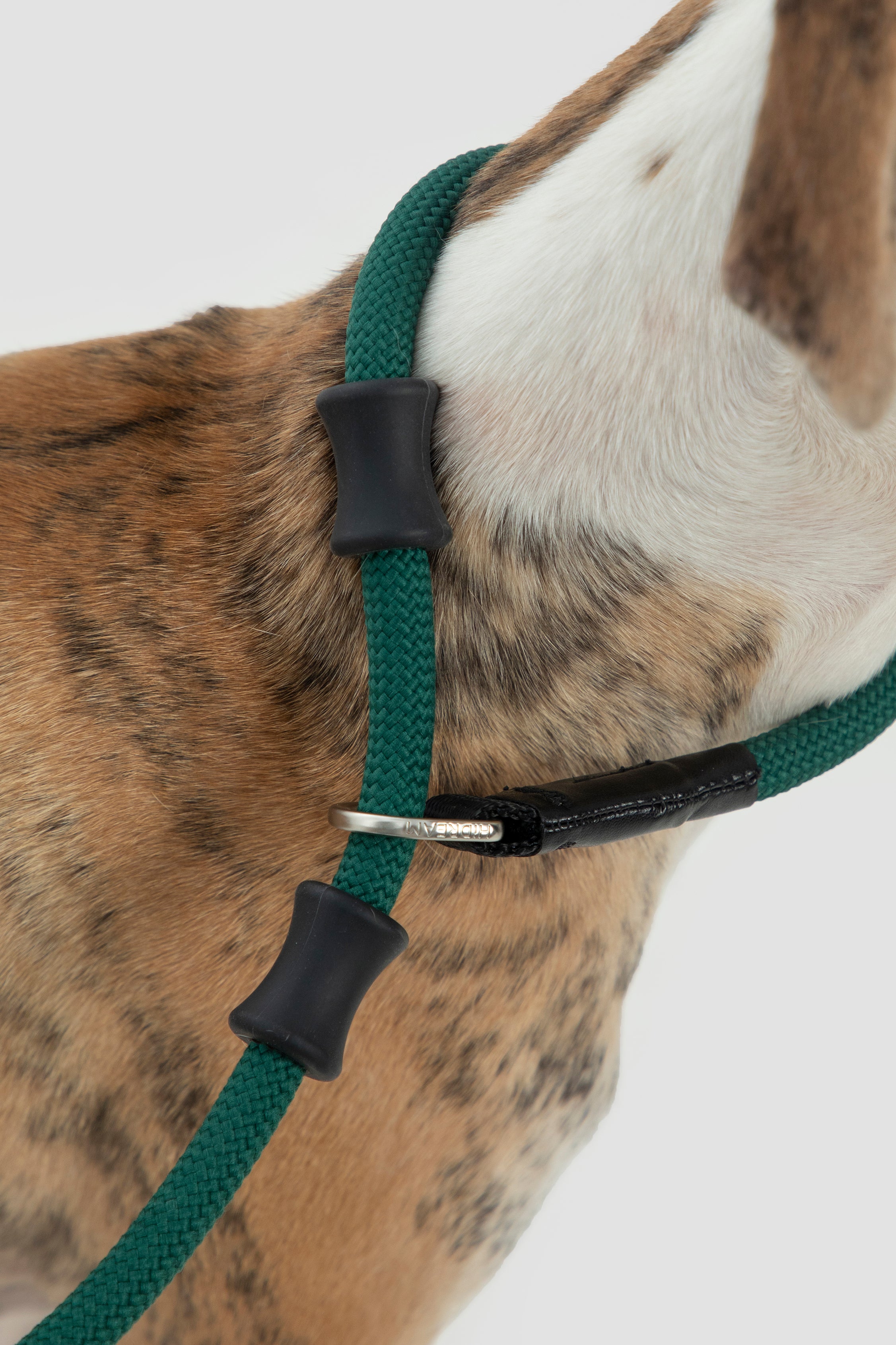Bobo Series - Leather Integrated Coarse P Rope