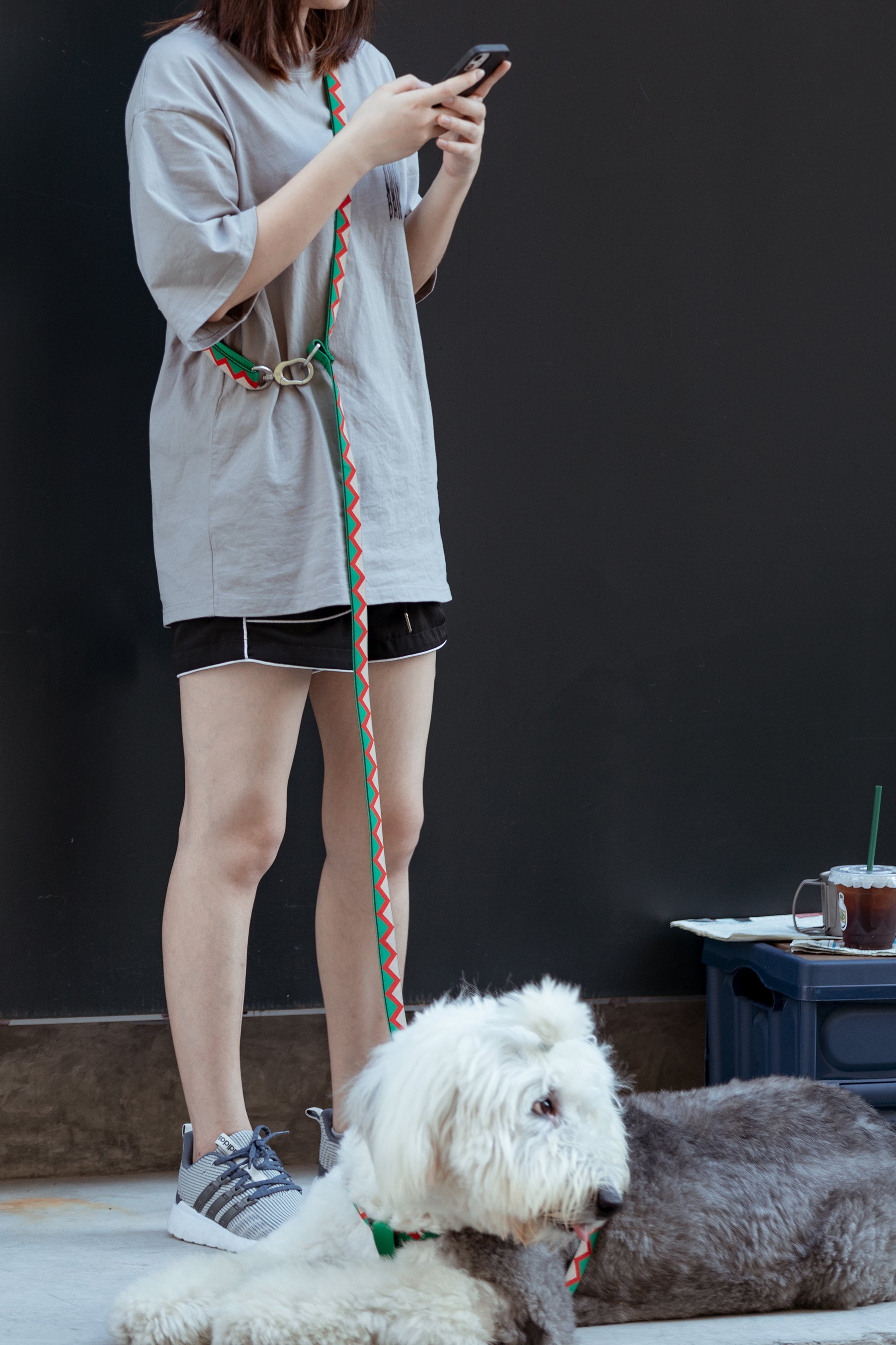Rainbow Series - Multi functional Traction Rope