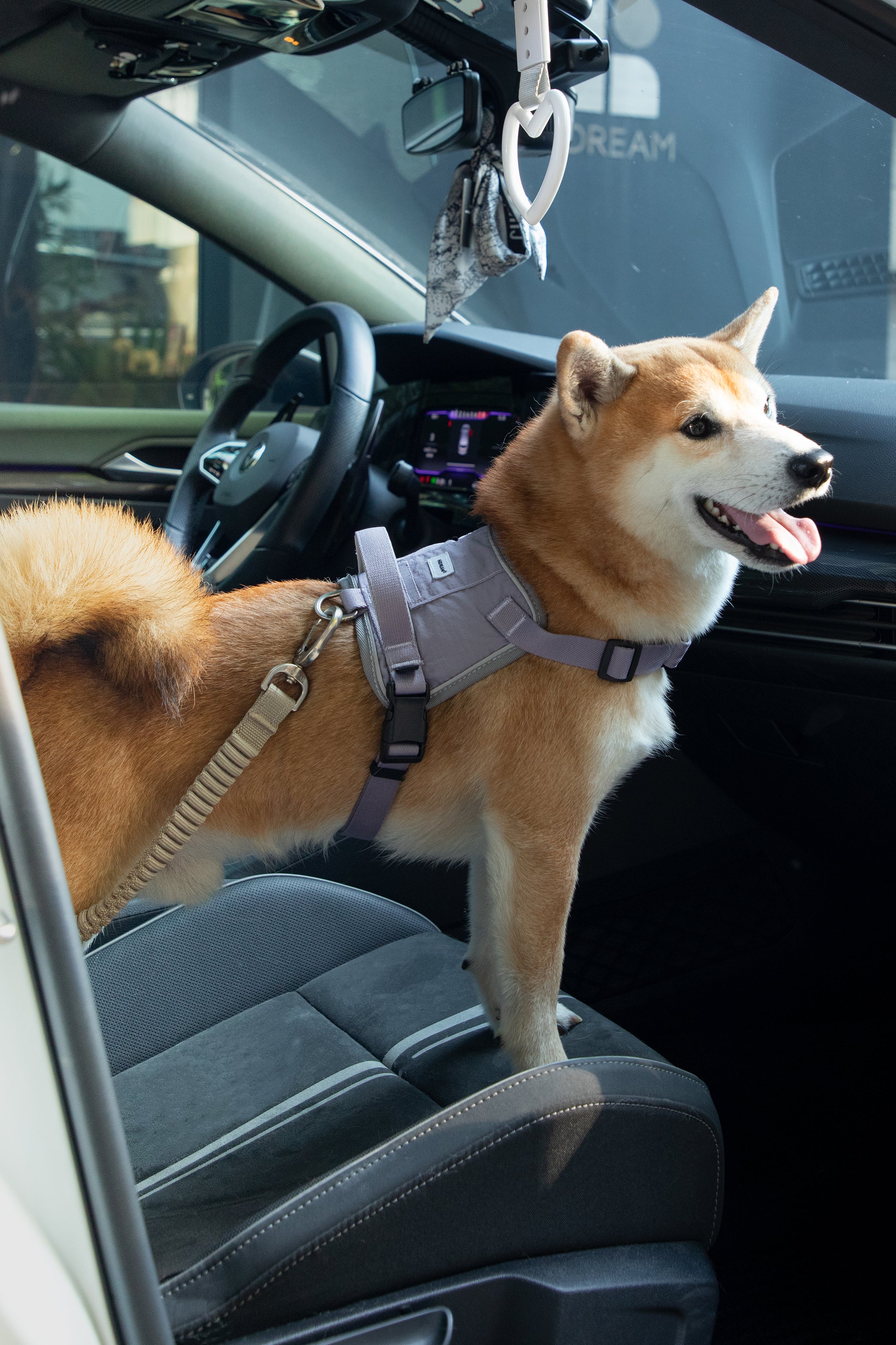 Valley series car seat belt