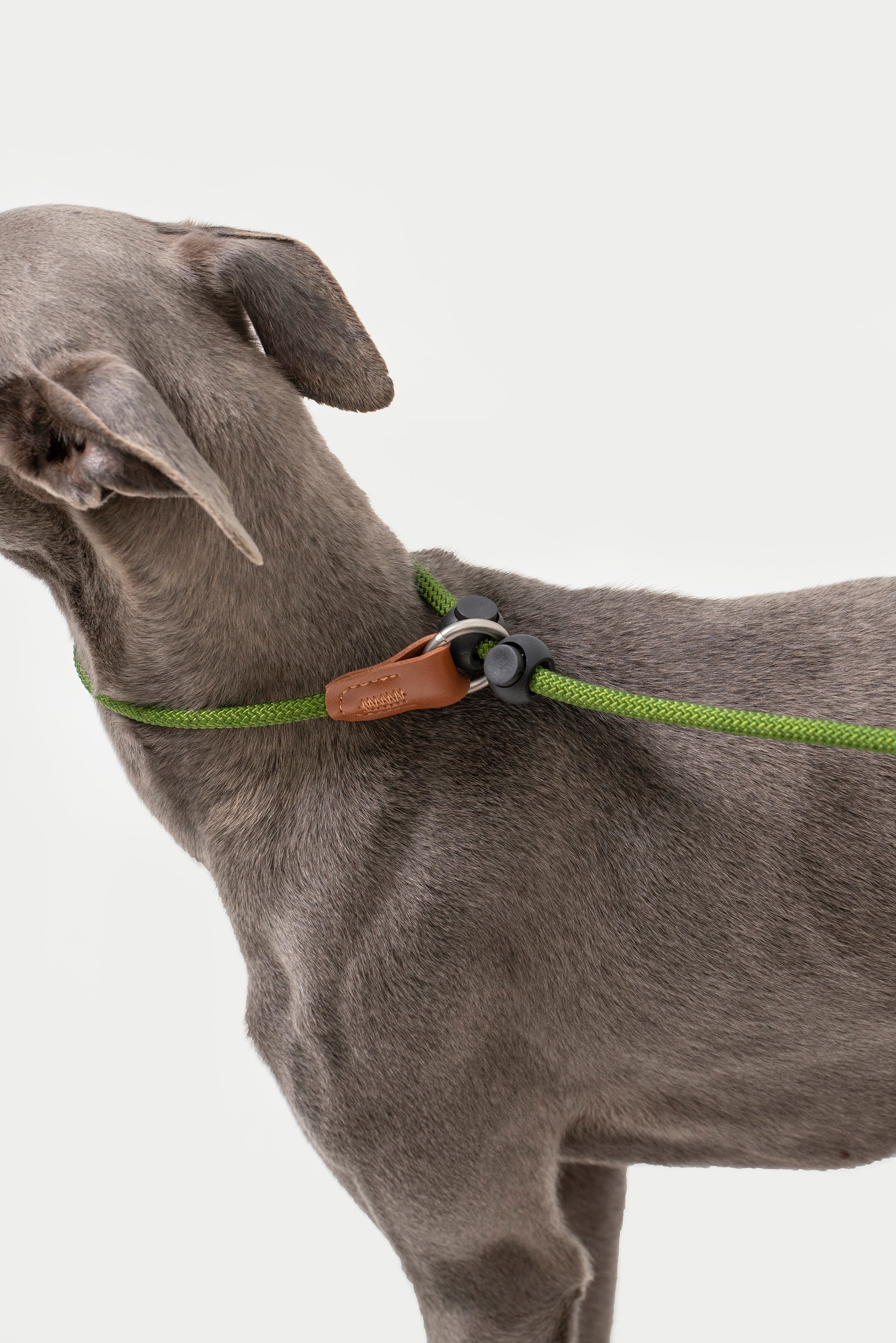 Bobo Series - Leather Handle Integrated P Rope