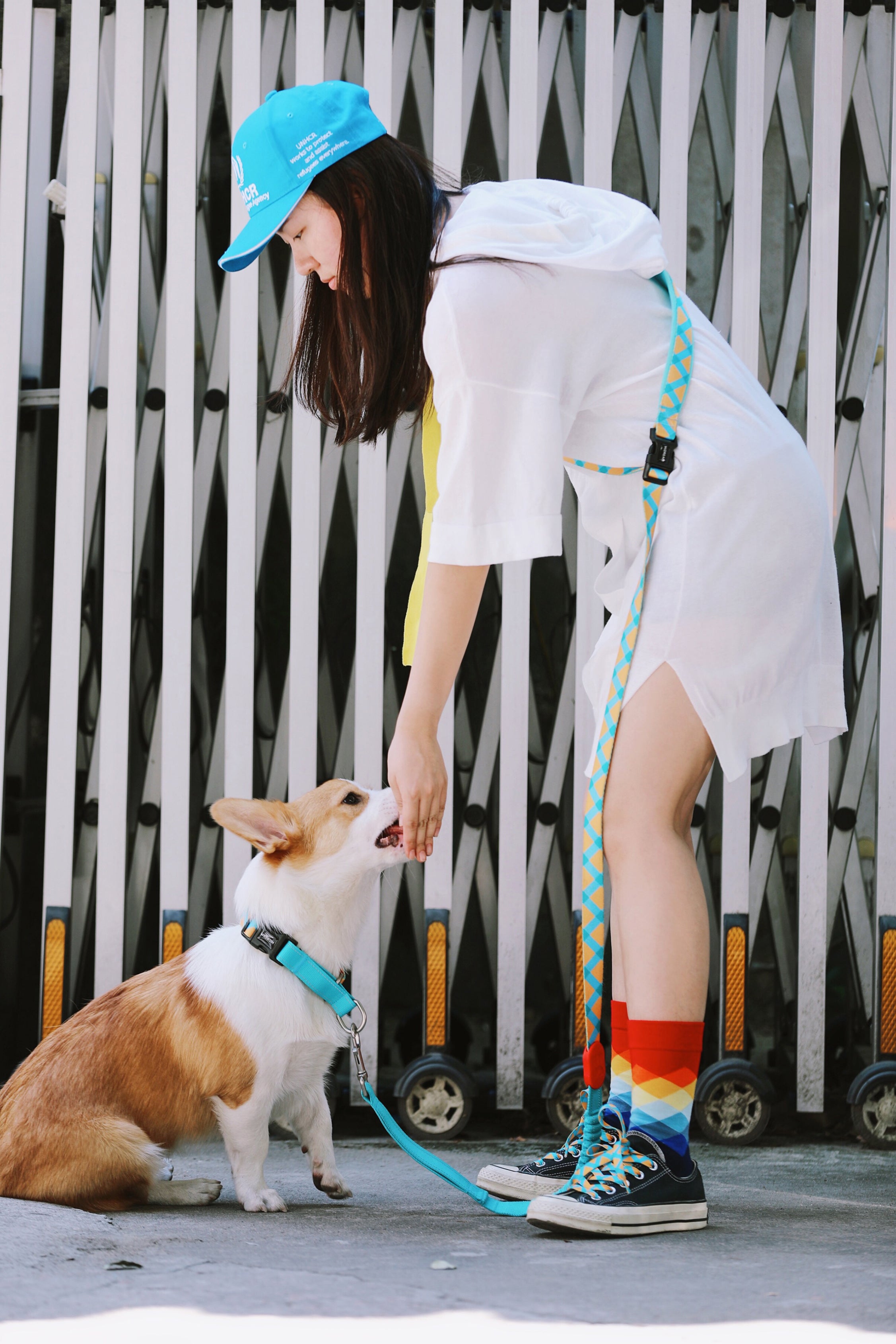 Colorful PRO Series - Half P Explosion proof Punch Collar