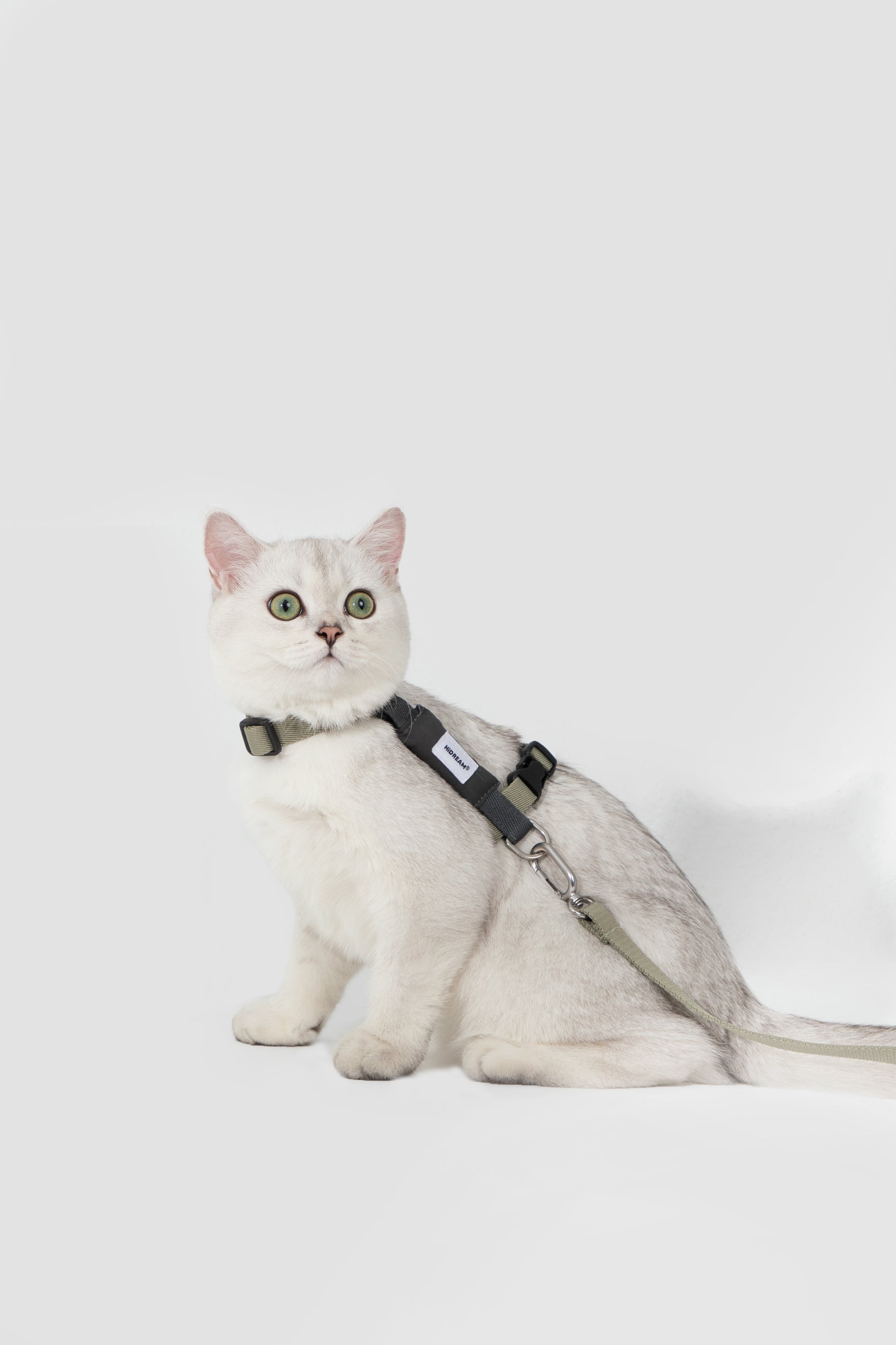 Valley Series Color blocked Cat Chest Back Traction Set