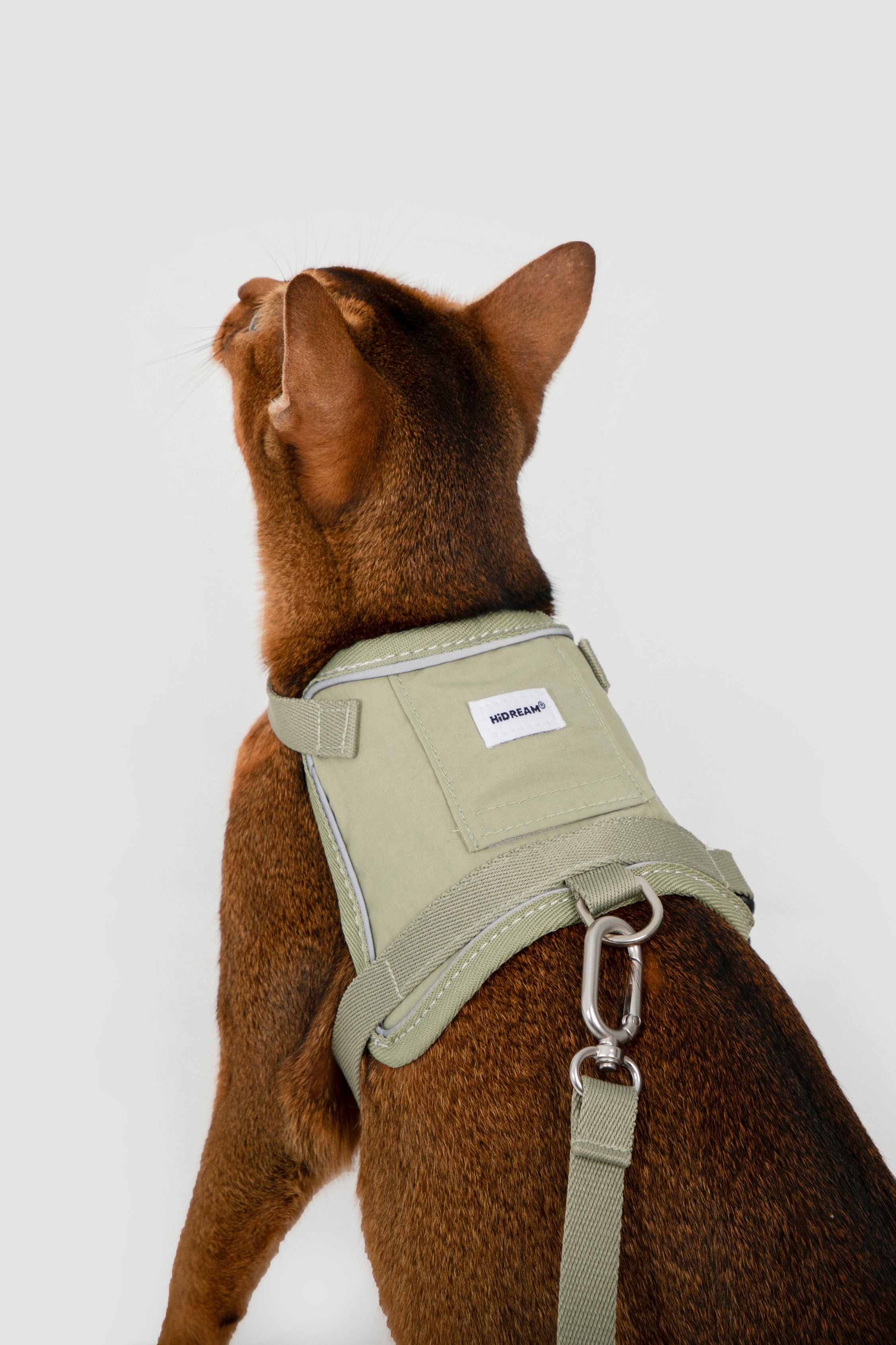 Valley series vest cat chest and back traction set