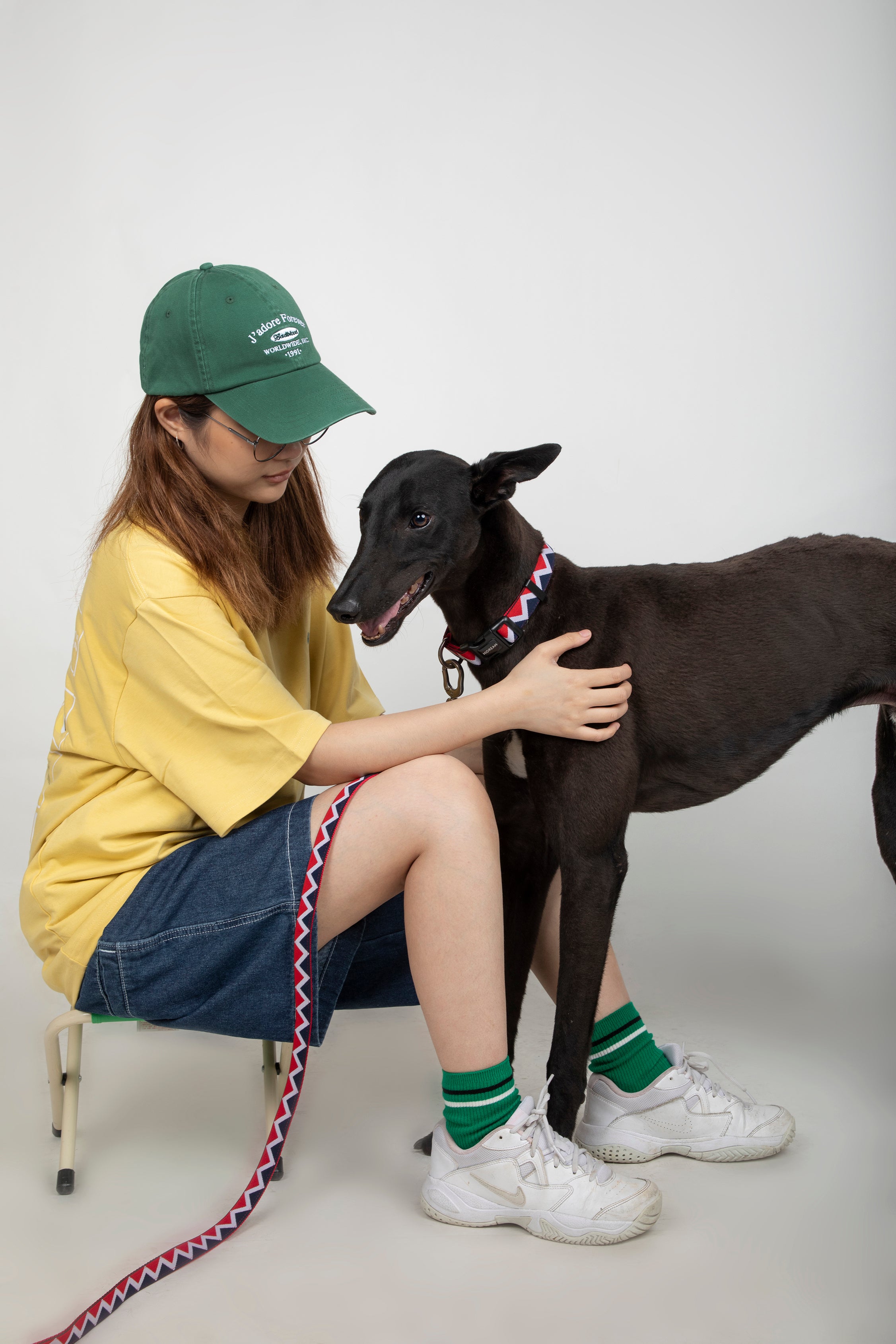 Rainbow Series - Collar