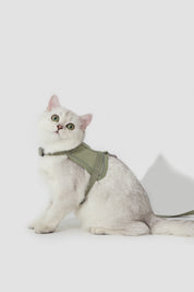 Valley series vest cat chest and back traction set