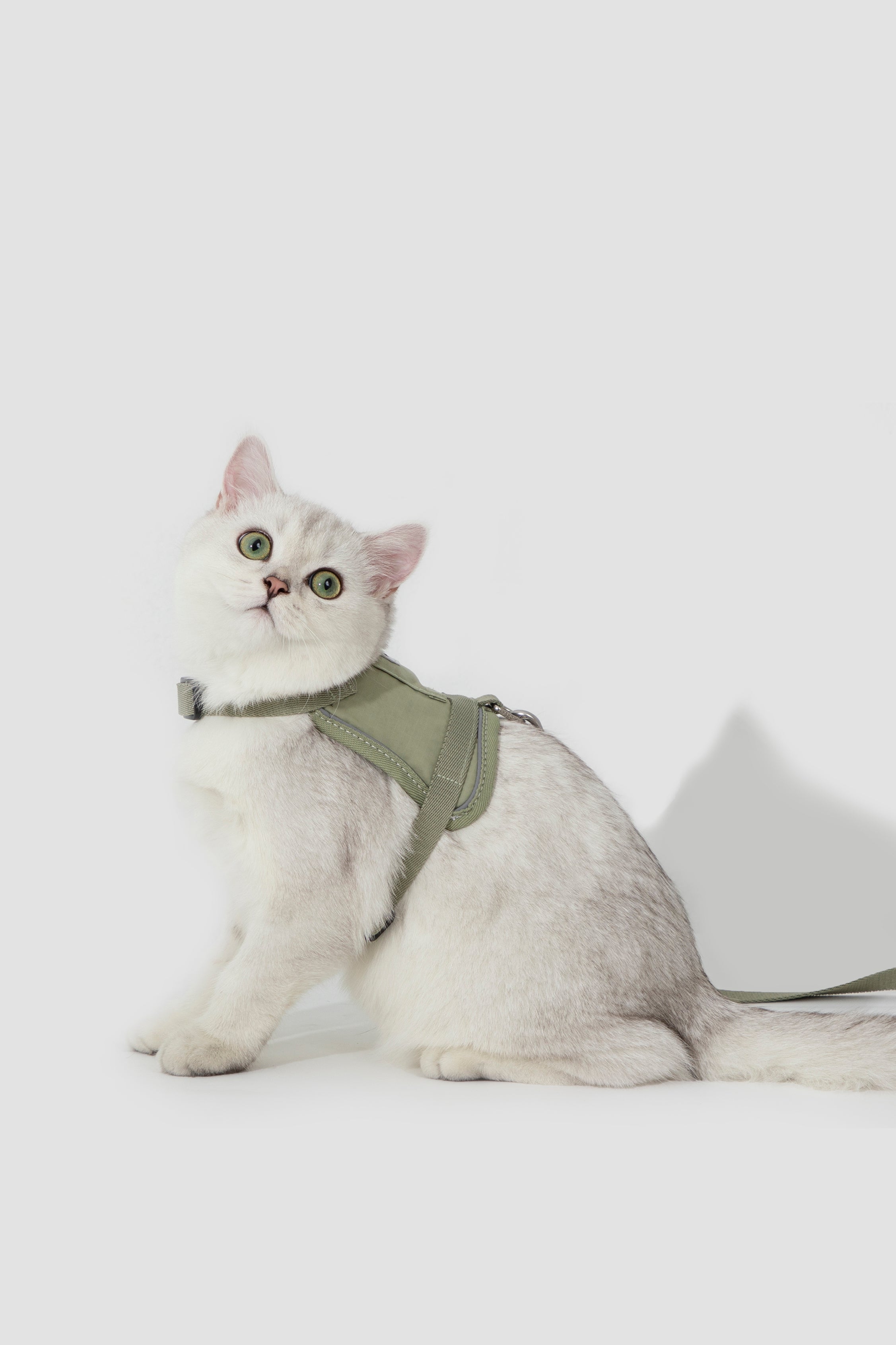 Valley series vest cat chest and back traction set