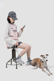 Valley Series Dog Half P Explosion proof Clash Collar