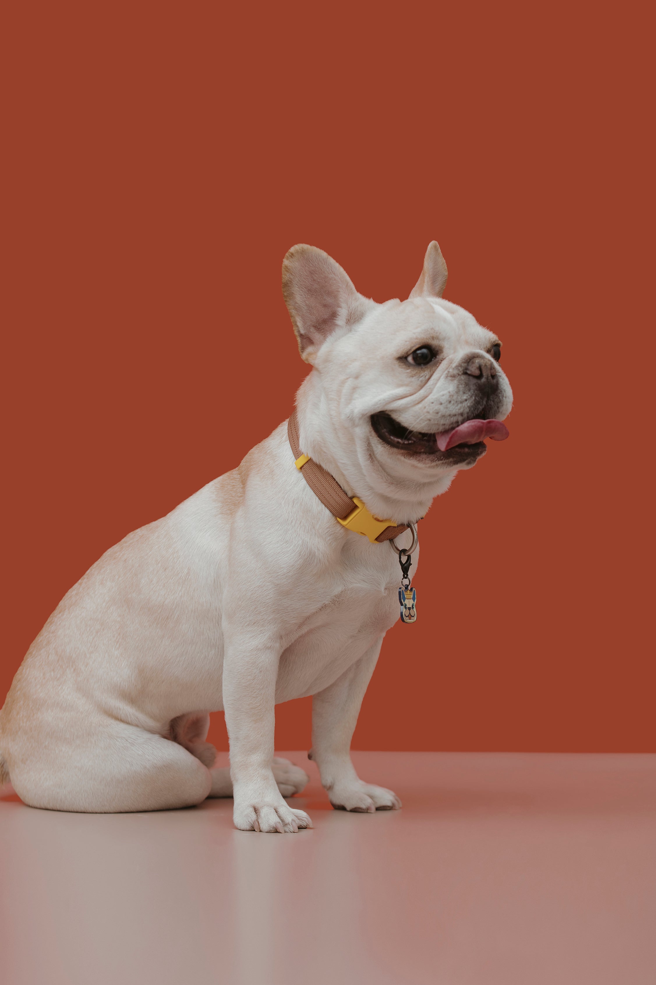 Pet Walk Dashun Collar
