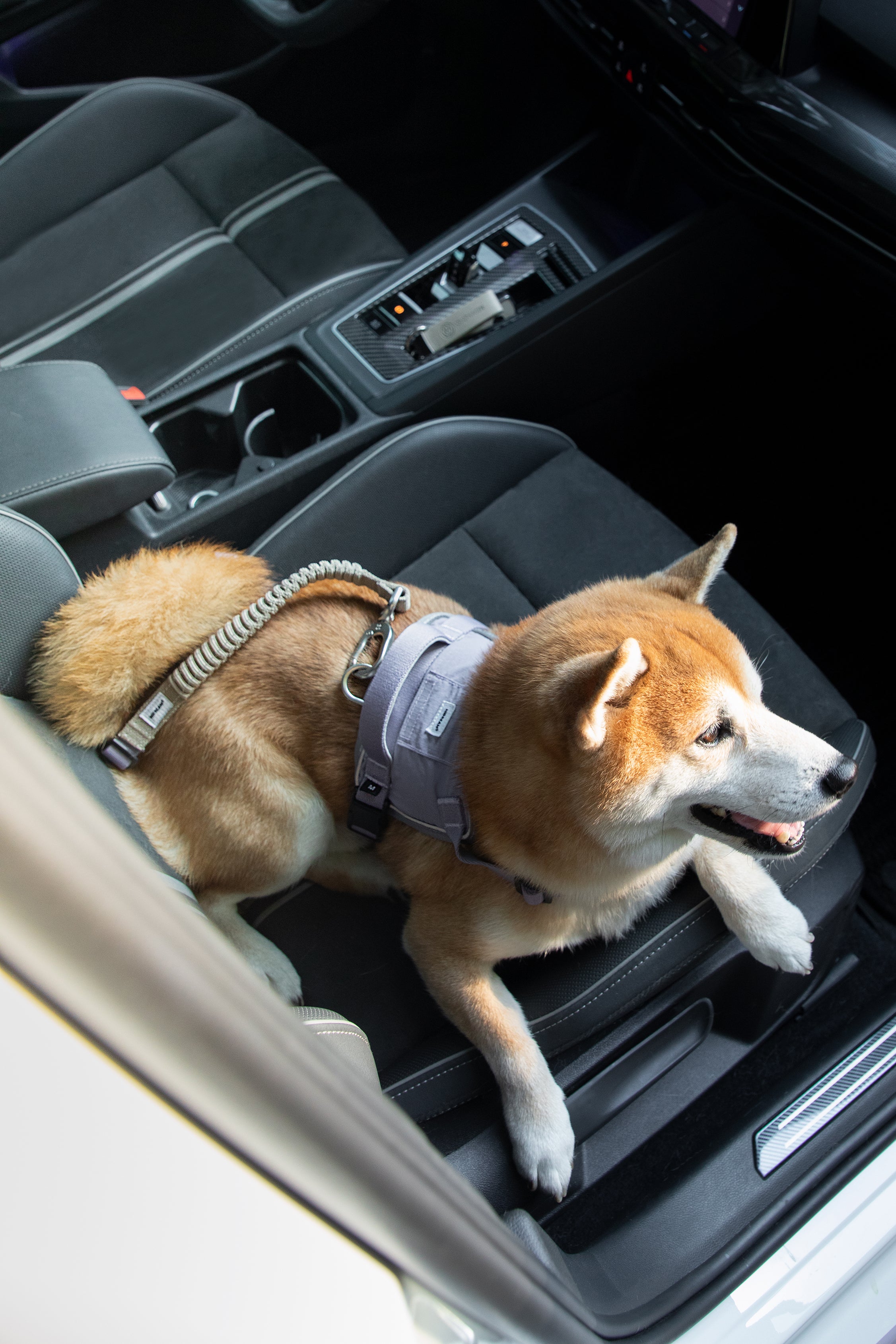 Valley series car seat belt