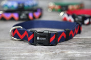 Rainbow Series - Collar
