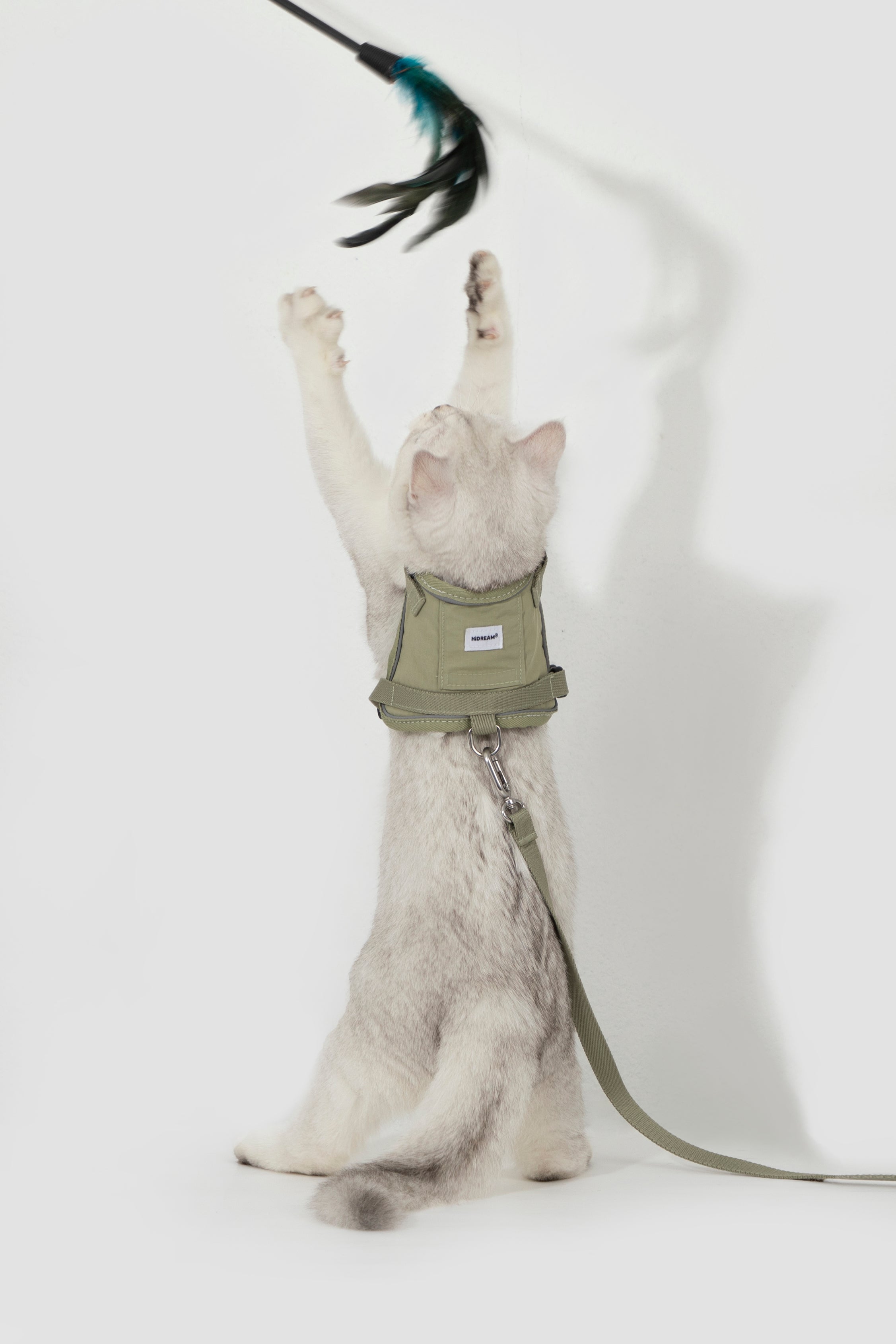 Valley series vest cat chest and back traction set