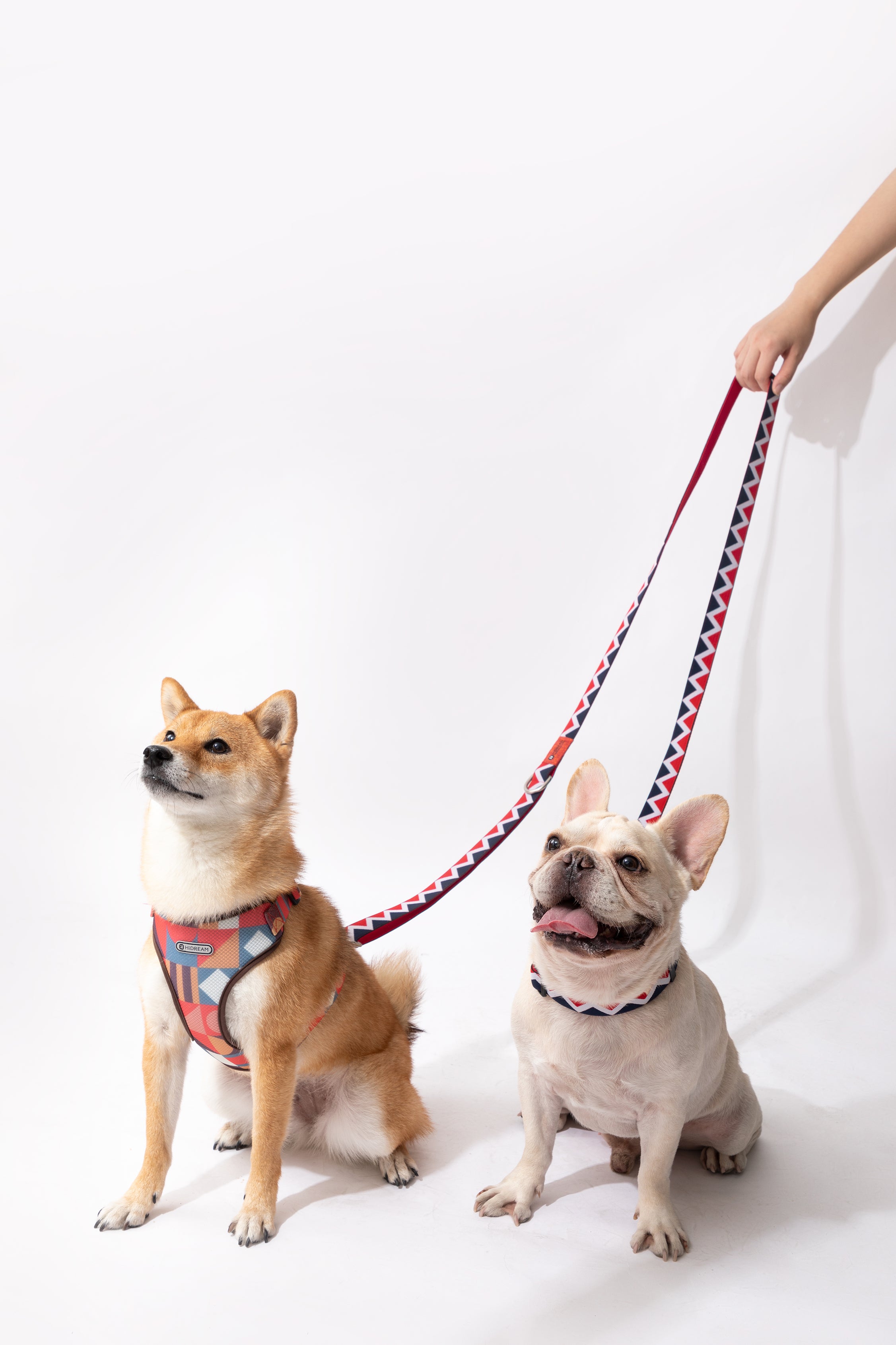 Rainbow Series - Multi functional Traction Rope