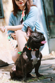 Colorful Series - Collar
