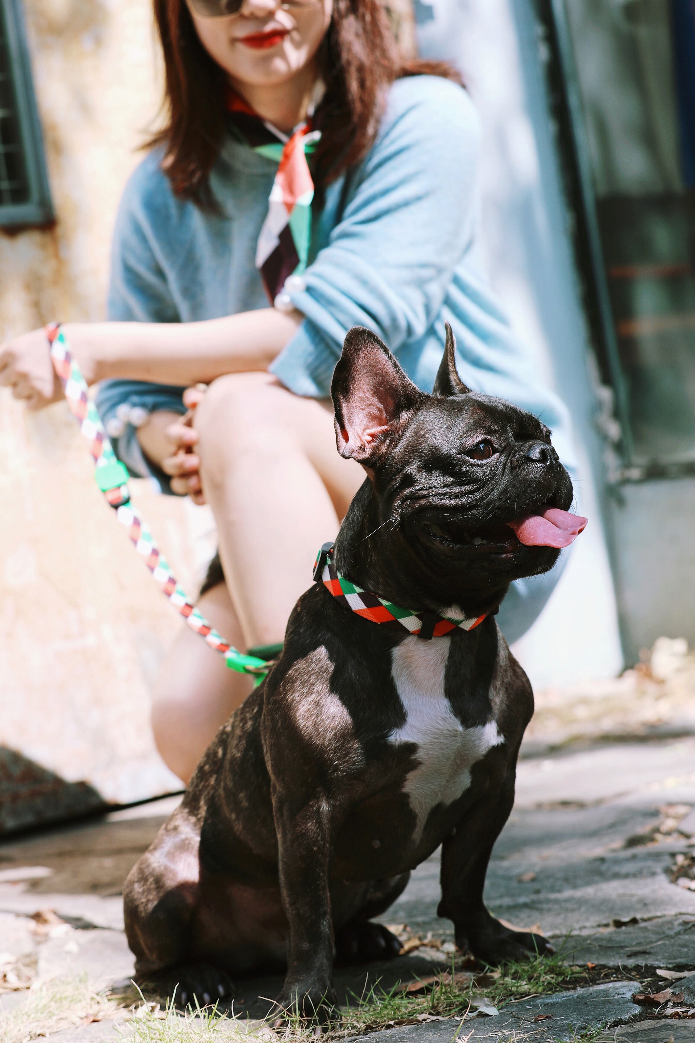 Colorful Series - Collar