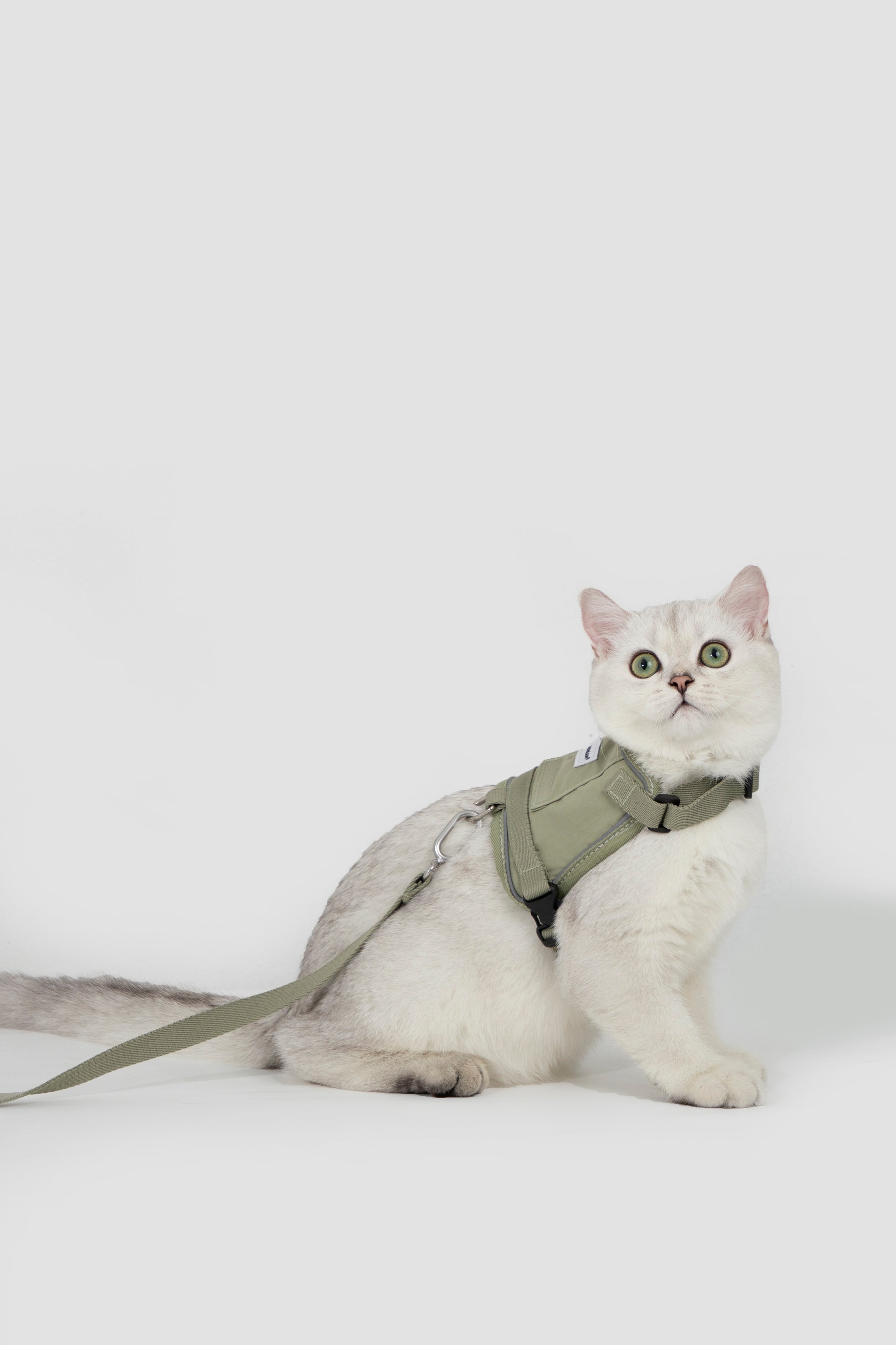 Valley series vest cat chest and back traction set