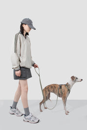 Valley series dog color blocked work chest and back