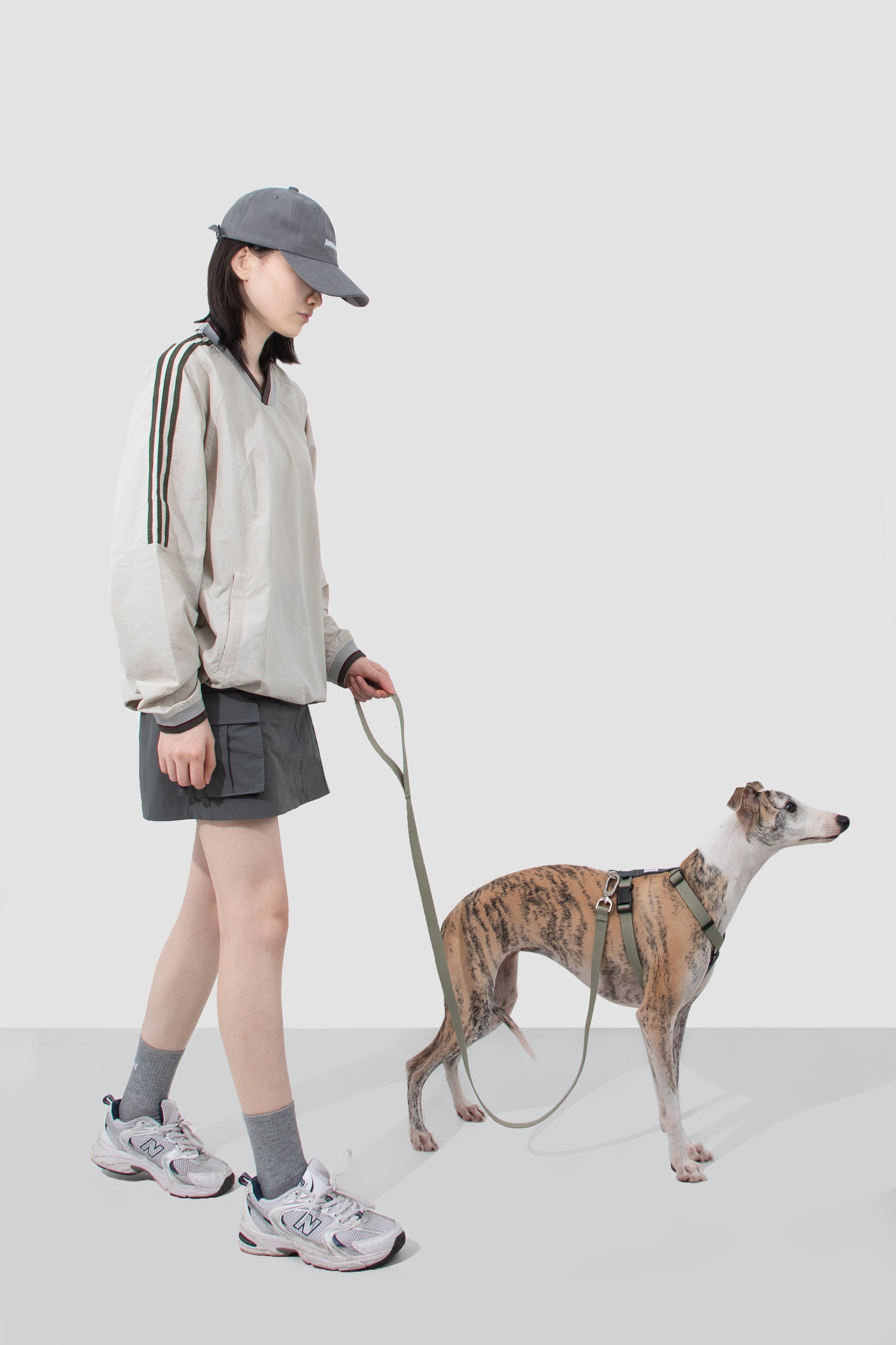 Valley series dog color blocked work chest and back