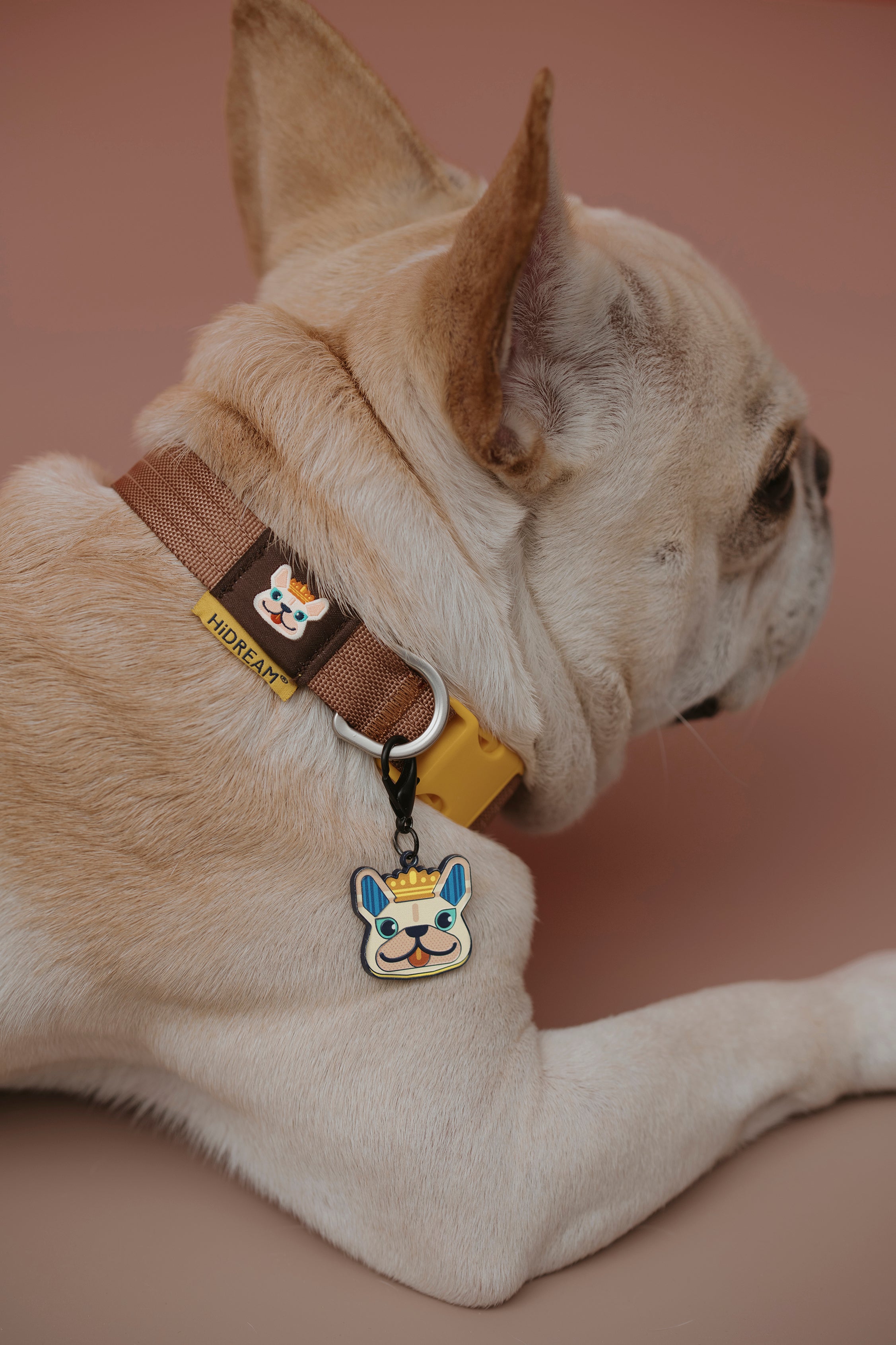 Pet Walk Dashun Collar