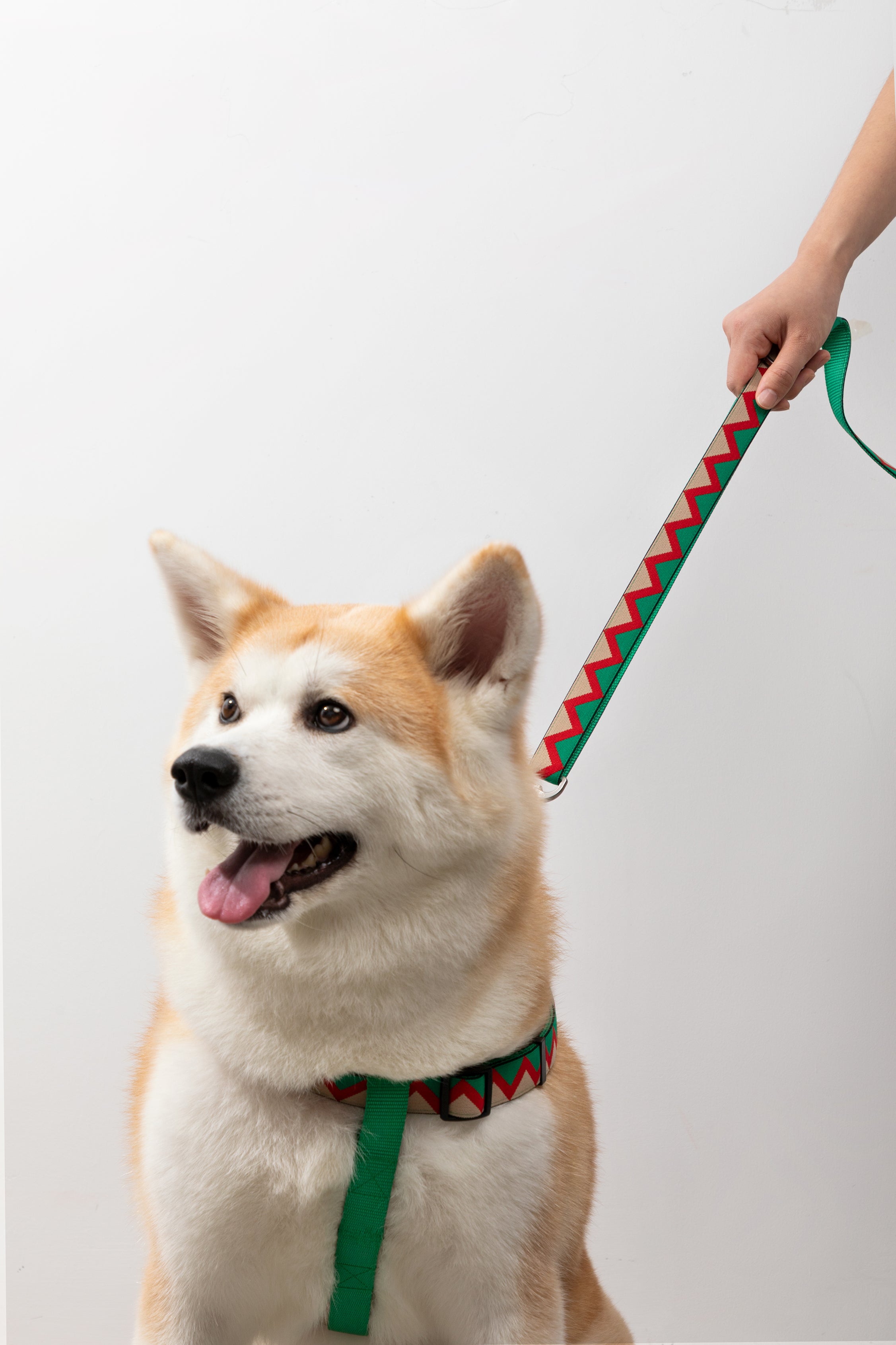 Rainbow Series - Multi functional Traction Rope