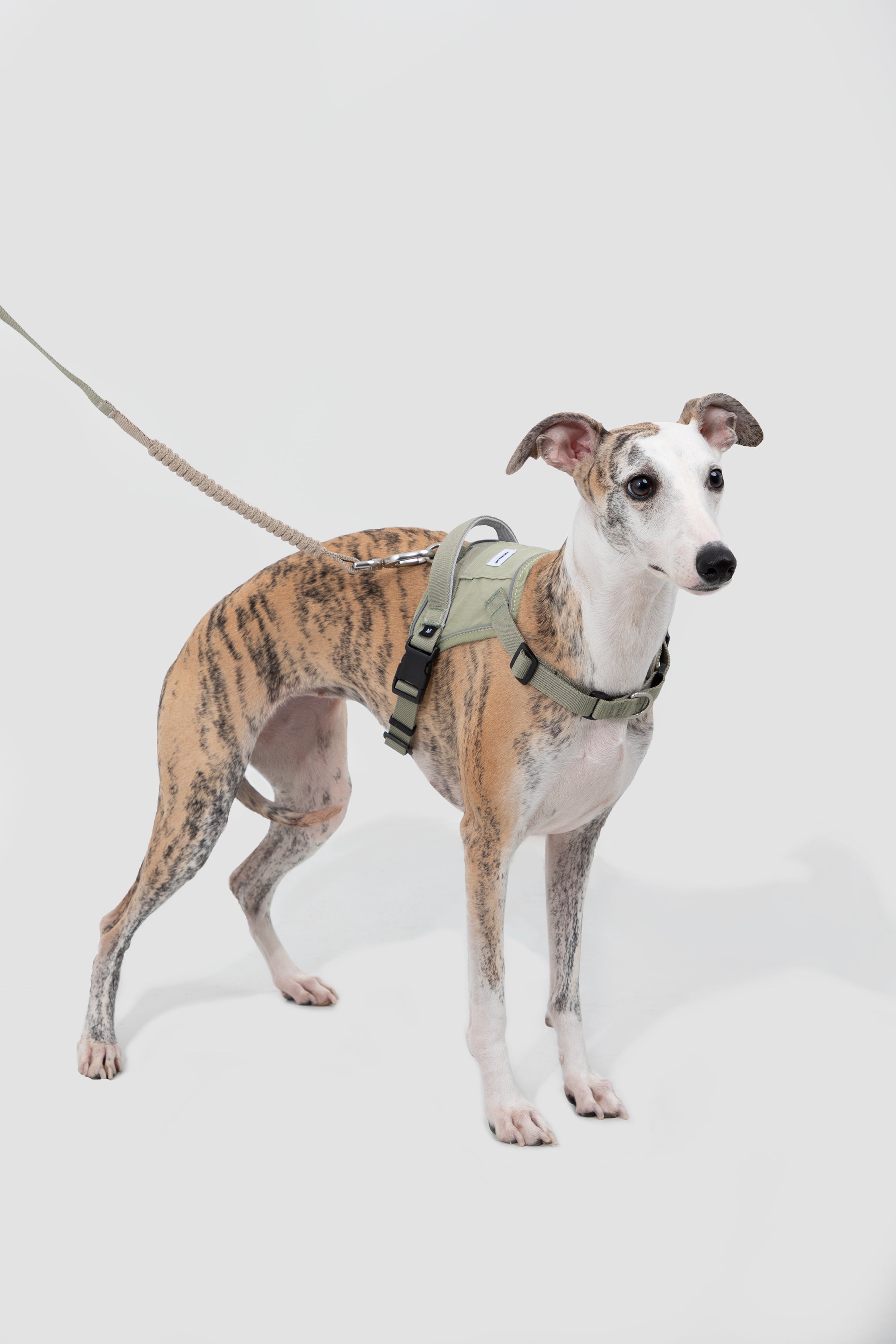 Valley series explosion-proof punching speed through dog chest and back