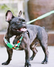 Aloha Paws Vest