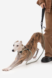 Bobo Series - Leather Integrated Coarse P Rope