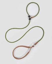 Pawsome Control Leash