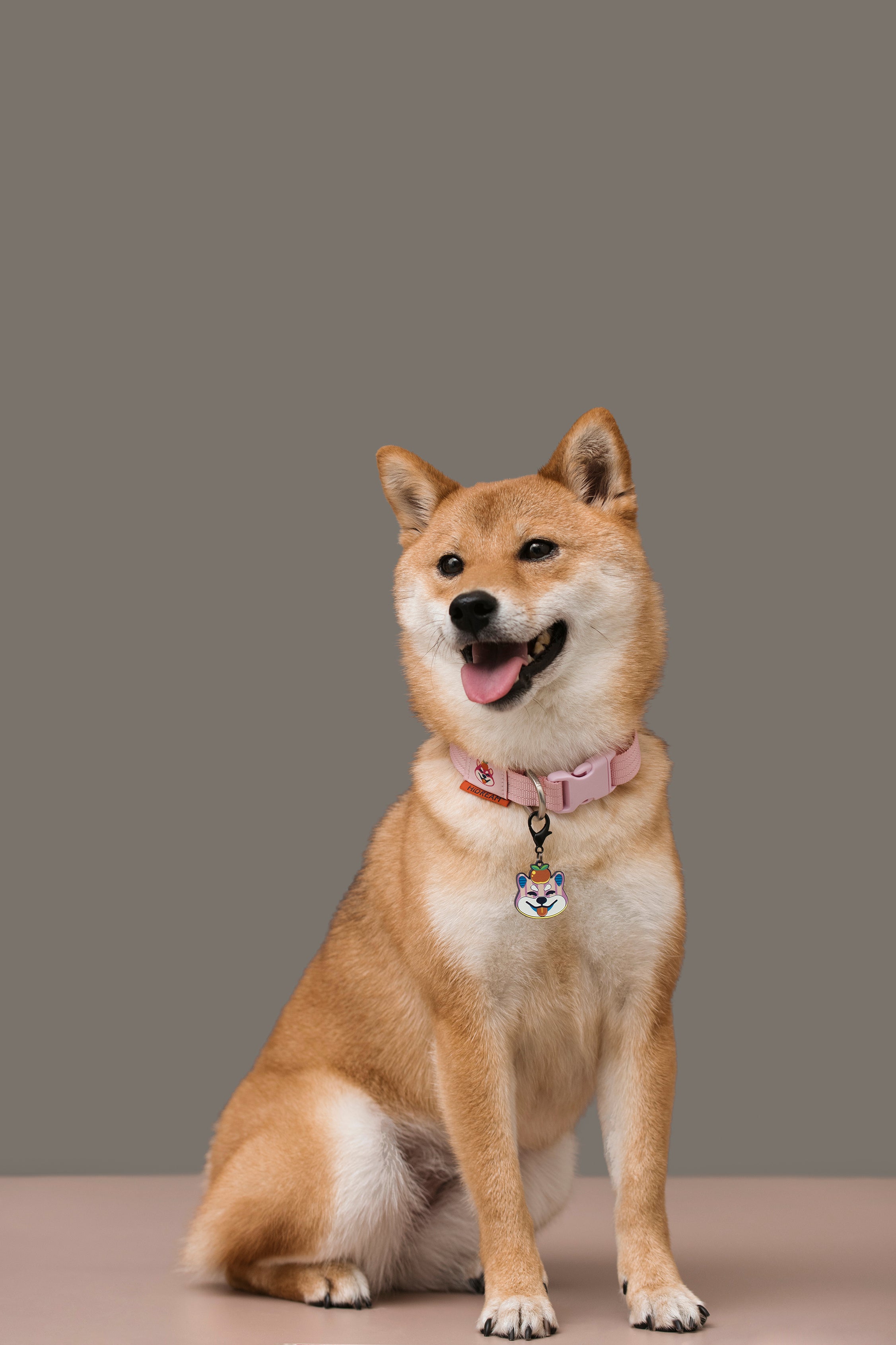 Pet Walk Dashun Collar
