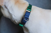 Rainbow Series - Color Contrasting Buffer Collar