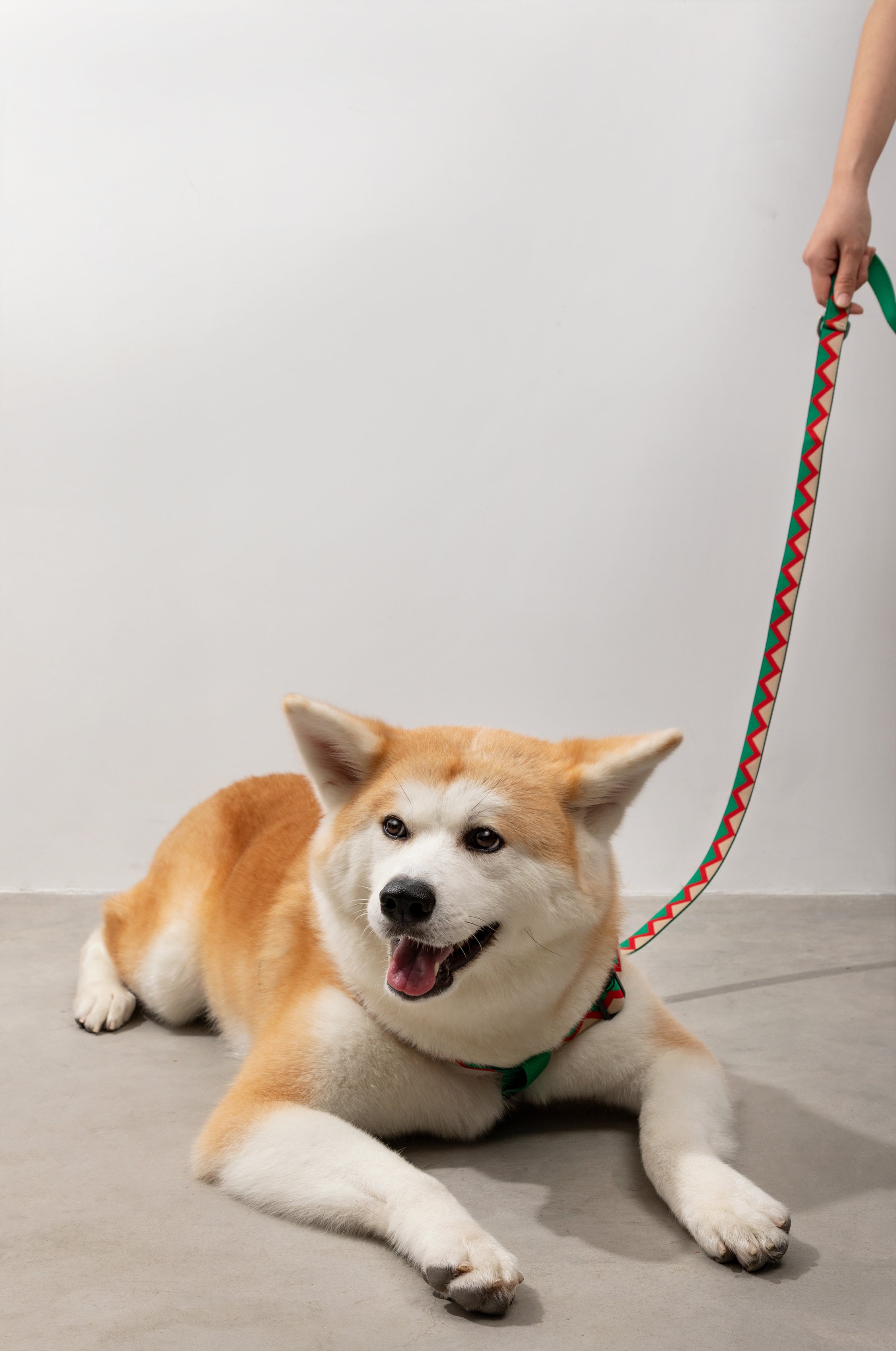 Rainbow Series - Multi functional Traction Rope