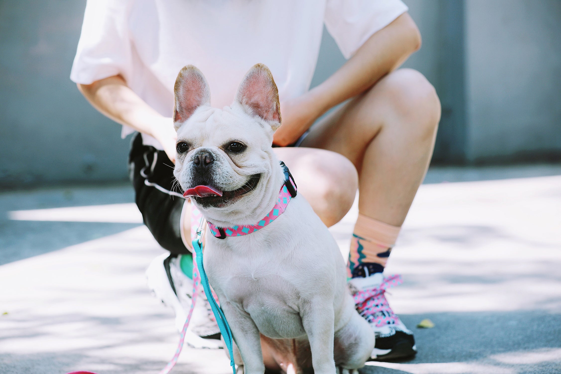 Colorful Series - Collar