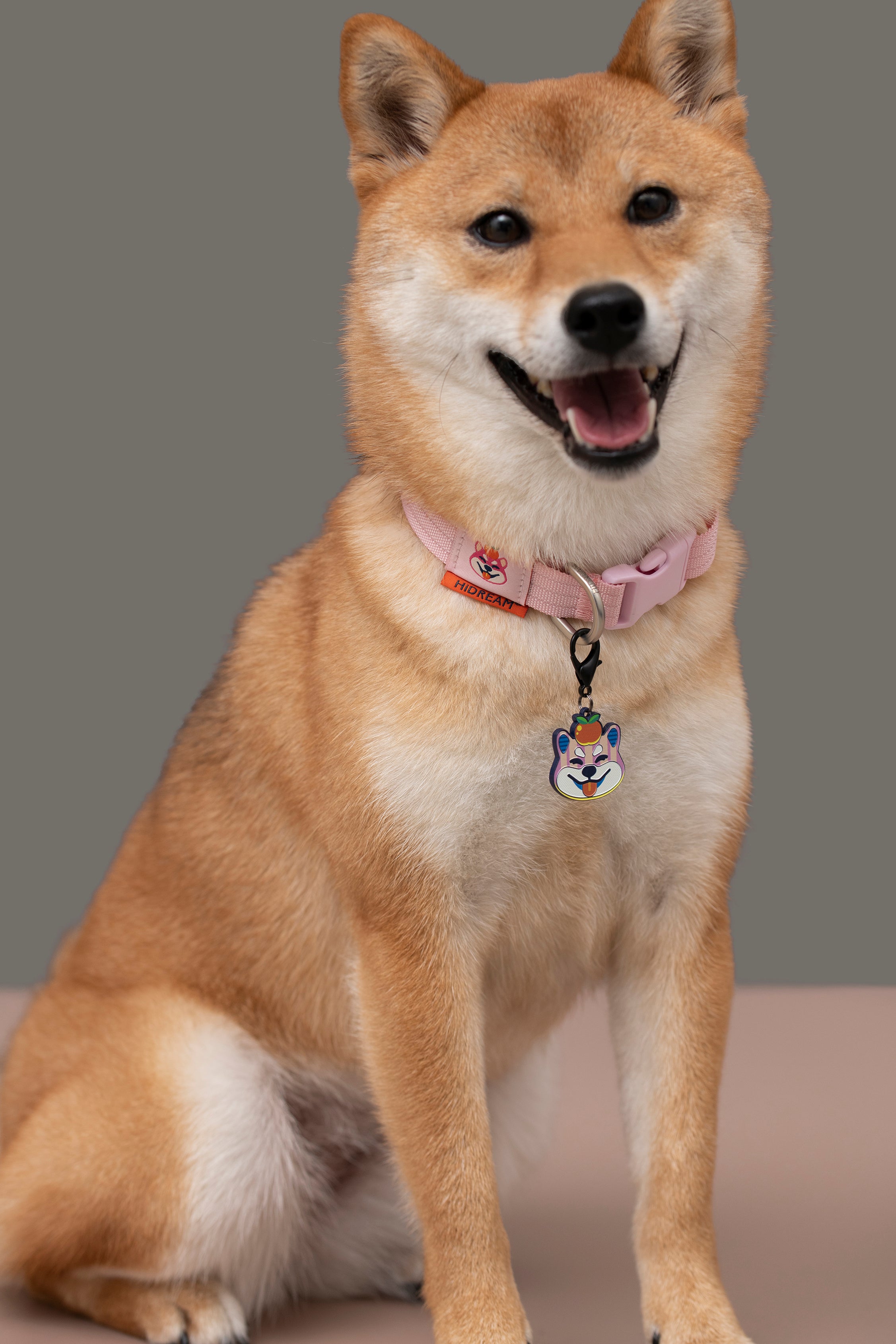 Pet Walk Dashun Collar