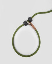Pawsome Control Leash