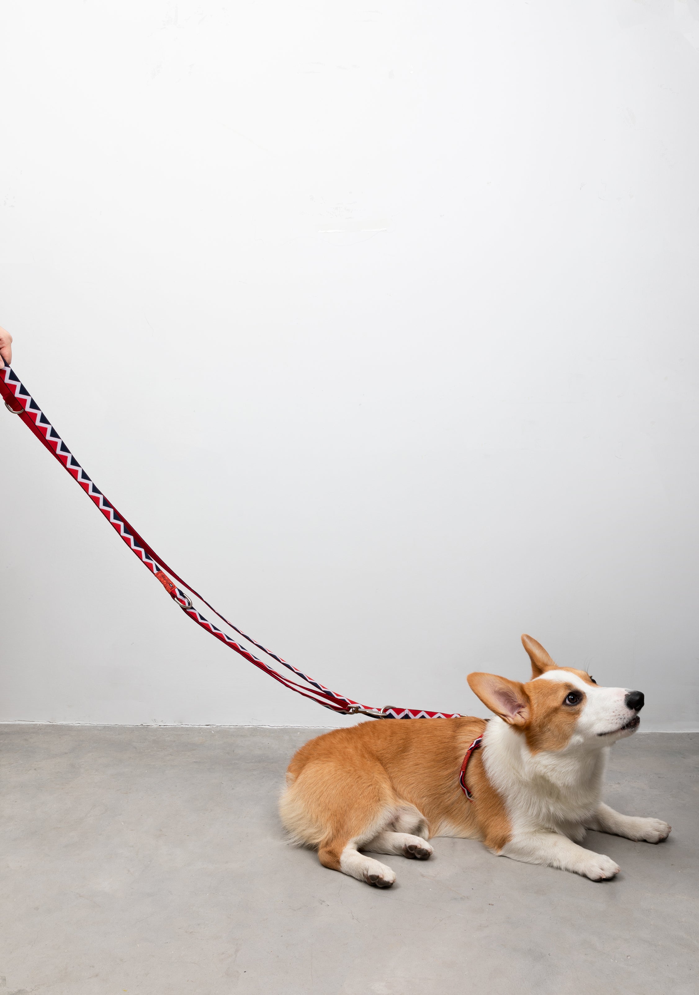 Rainbow Series - Multi functional Traction Rope