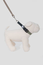Valley Series Dog Half P Explosion proof Clash Collar