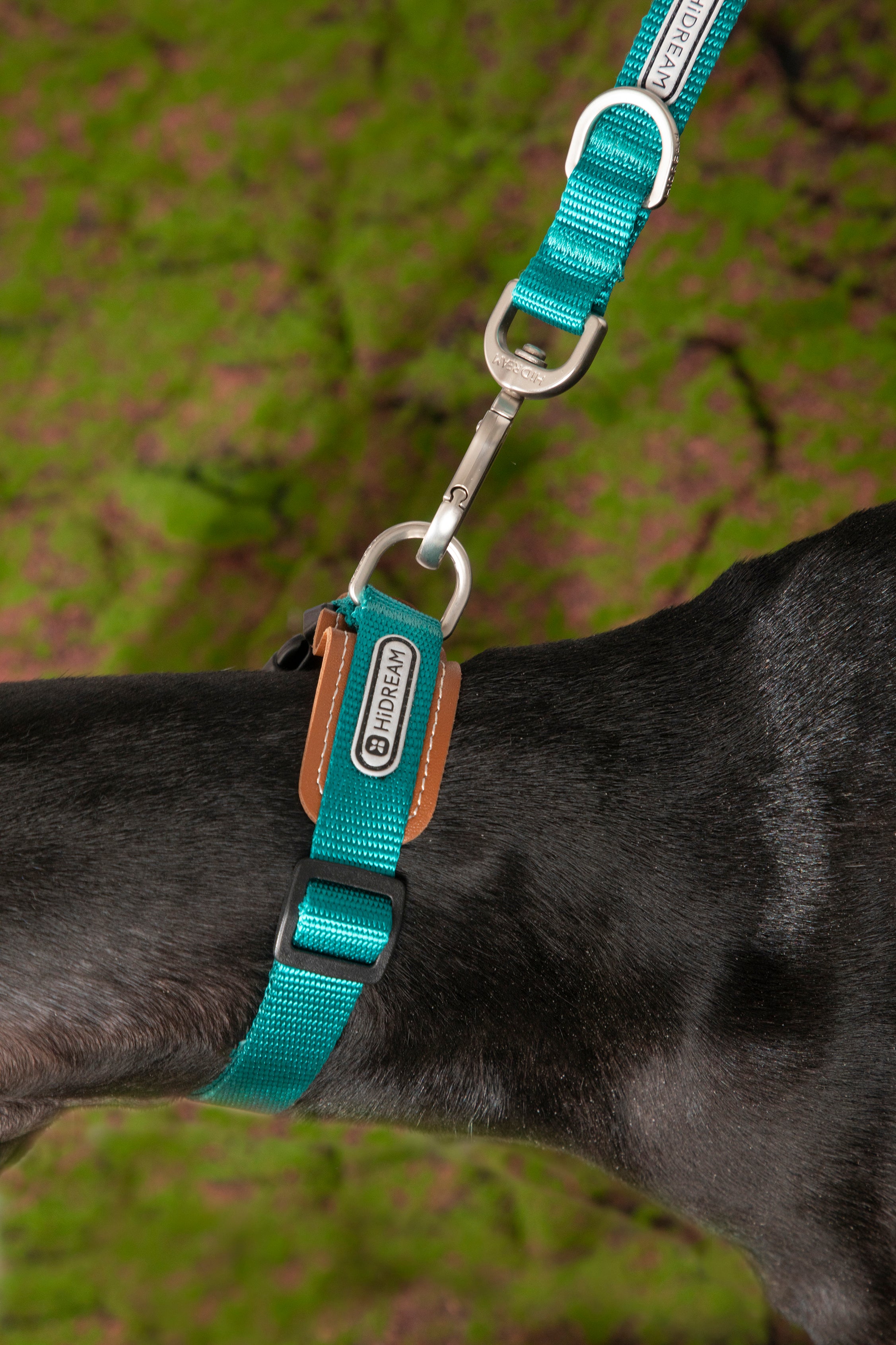 Bobo Series - Leather Collar with Spliced Leather