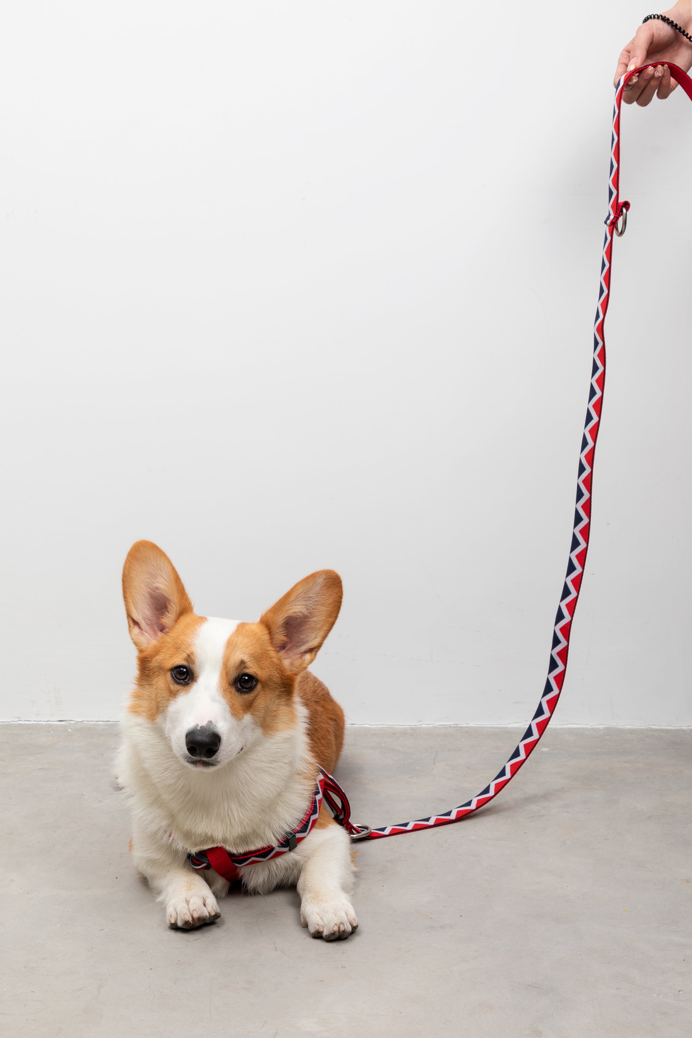 Rainbow Series - Multi functional Traction Rope