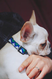 Rainbow Series - Collar