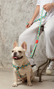 Colorful Series - Adjustable Traction Rope