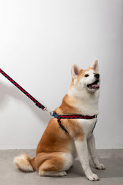 Rainbow Series - Y-shaped Chest and Back+Traction Set