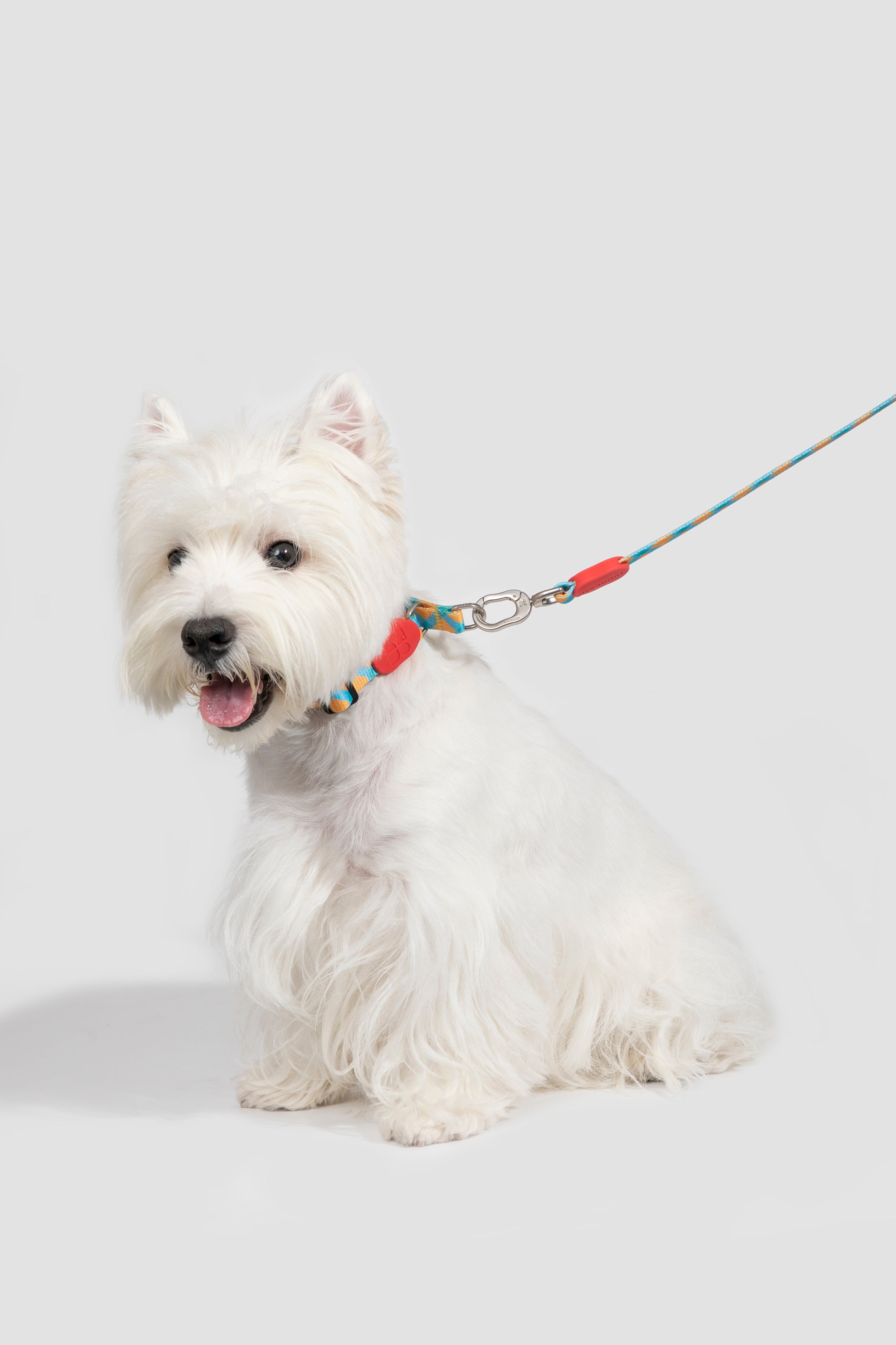 Colorful PRO Series - Half P Explosion proof Punch Collar S Size