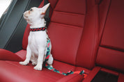 Colorful Series - Car Seat Belts