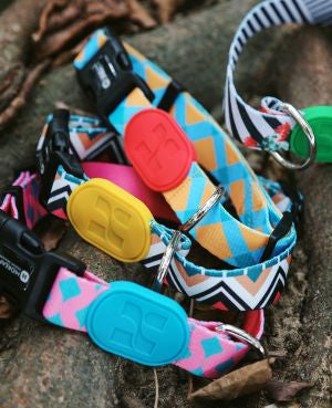 Aloha Paws Collar