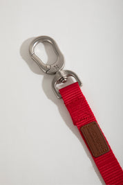 Rainbow Series - Multi functional Safety Strap