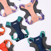 Bobo Series - Hug Pet Chest Strap
