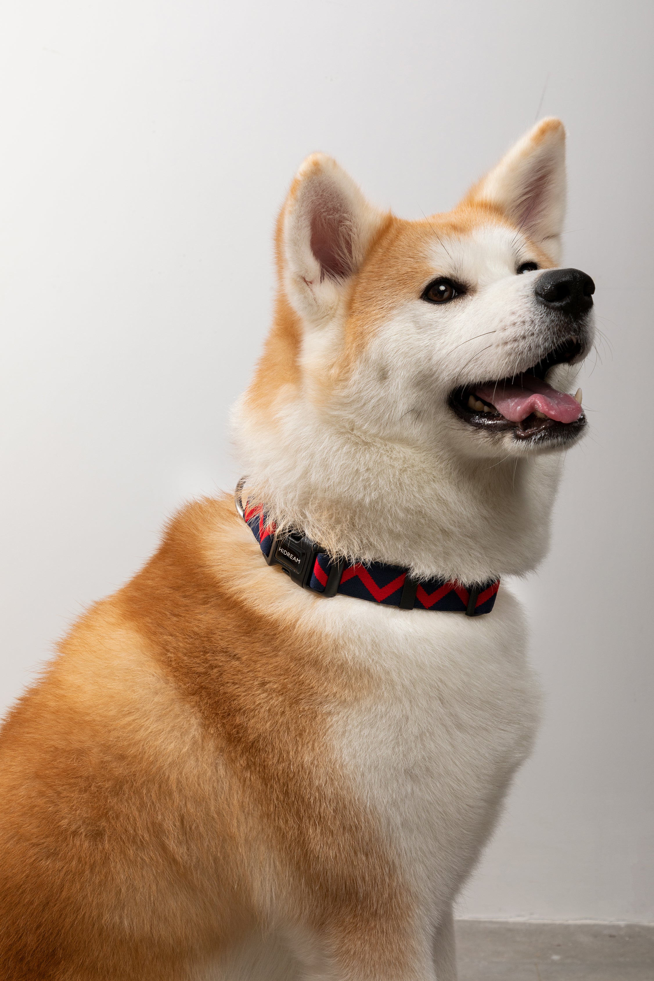 Rainbow Series - Collar