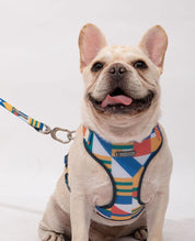Vest Style Lightweight Chest Harness