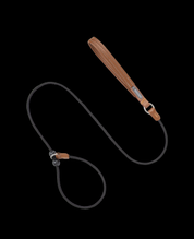 Pawsome Control Leash