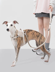 Valley series explosion-proof punching speed through dog chest and back